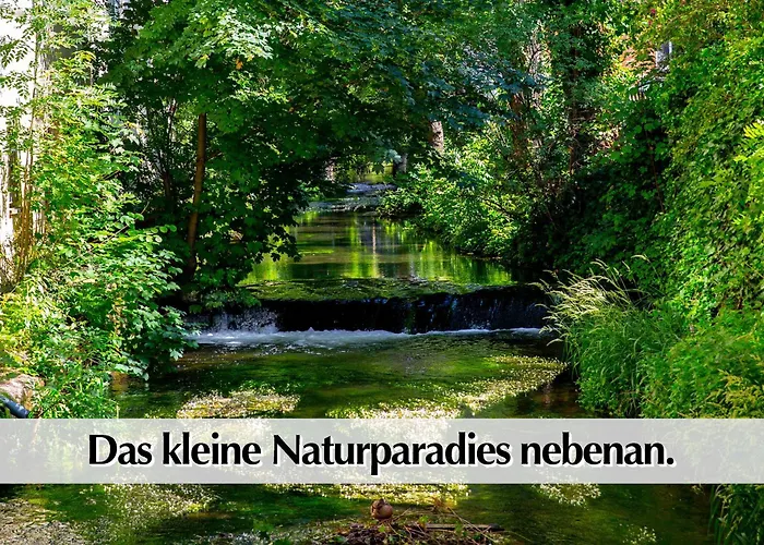 Stadtperle Am Plätschernden Wasser - 50m2 Zweiraumwohnung In Zentraler Lage